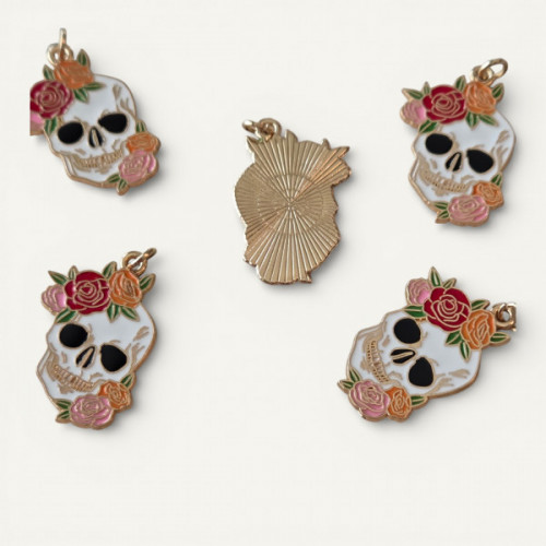 IMG_20260207_015144 (15).jpg